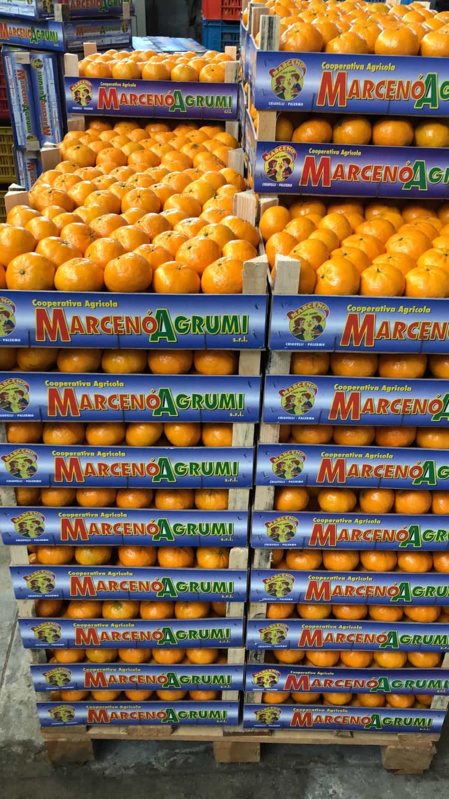 Marcenò company 3